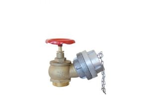 Fire Department Floor Connection Valve with Plug 2''